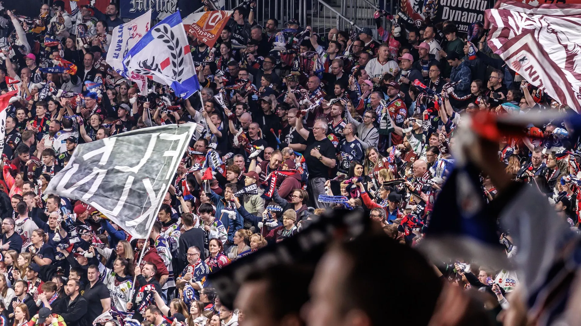 Eisbären Berlin fans Eisbären Berlin fans
