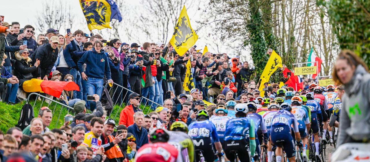 The peloton at the Tour of Flanders 2024