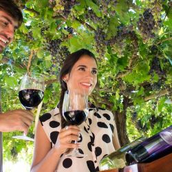 Wine tourism | Photo: CEDOC