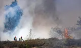 The fire brigade at work at the Oirschotse Heide in North Brabant where a wildfire has broken out.