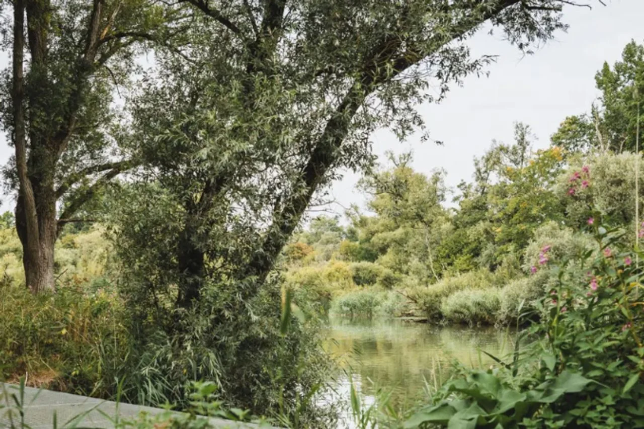 Wilderness on the water (photo: VisitBrabant).
