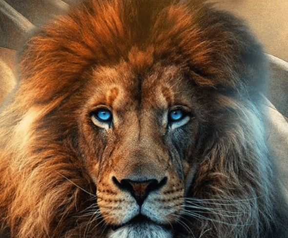 libertarian lion