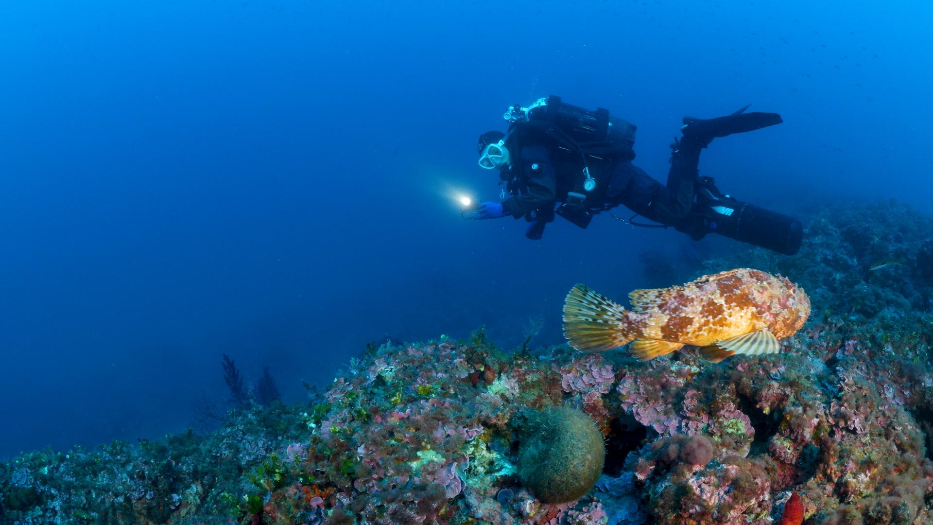 world-oceans-day-2026
