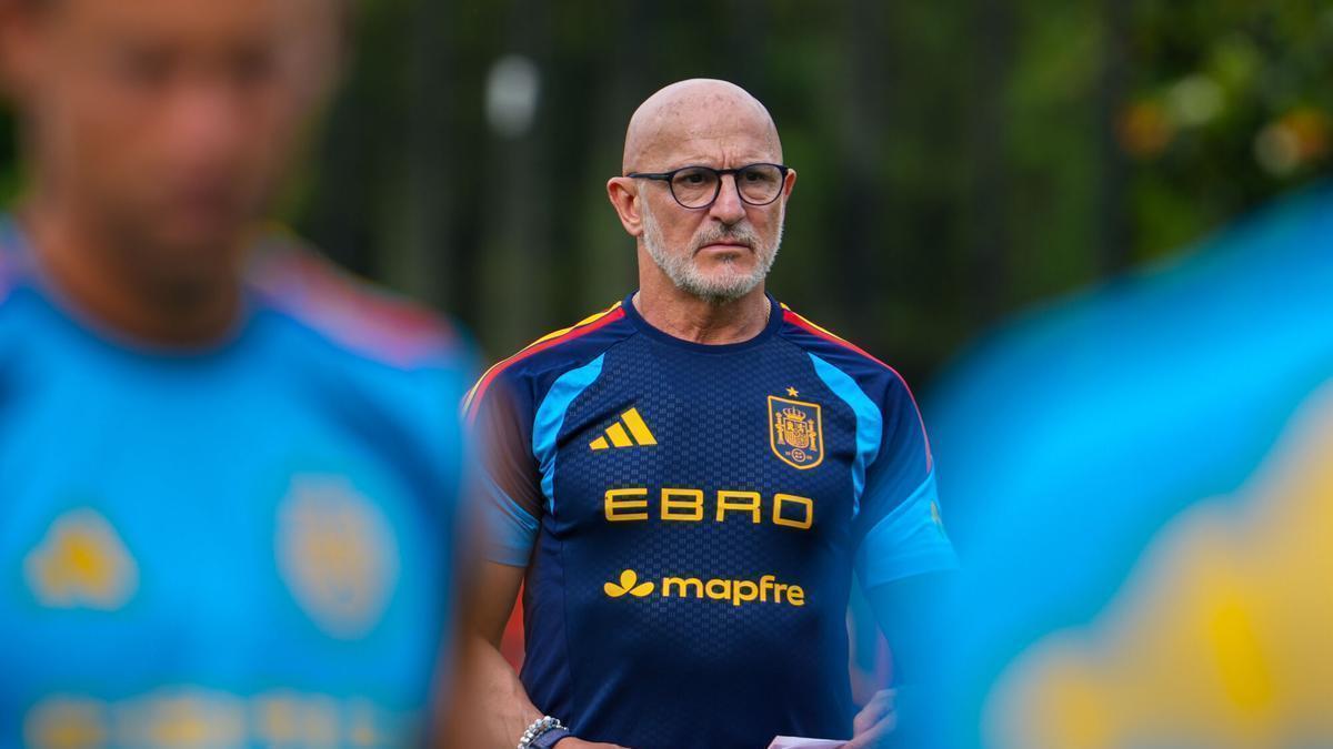 Spain coach, Luis de la Fuente.
