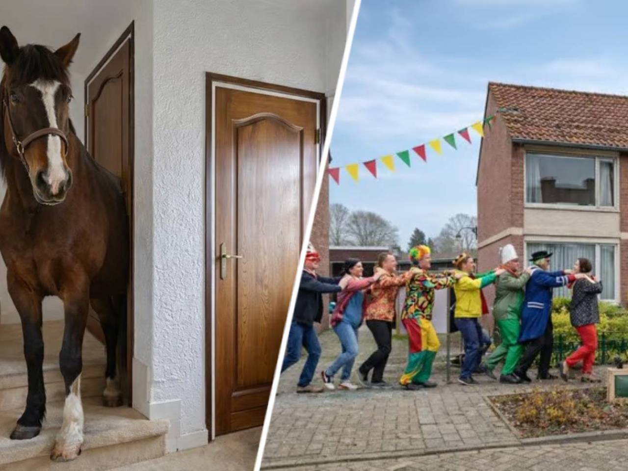 https://api.omroepbrabant.nl/img/f/$width$/$height$/0.50/0.50/cmV2aXNpb25zLzQ4MzgwOTAtMS5qcGc_c2U9MjA0NS0wMS0wMVQxMCUzQTQwJTNBMDBaJnNpZz1ZWlRra U1mb2tOUm5Mc3psWkNTd2VrTnJTRFhXMnAzdyUyQlMxRmV4Z2dWV2clM0Qmc3A9ciZzcHI9 aHR0cHMmc3I9YiZzdD0yMDI1LTAxLTAxVDEwJTNBNDAlM0EwMFomc3Y9MjAyMC0xMC0wMg==