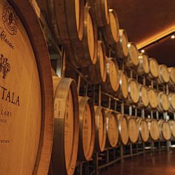 Huentala Wines Winery. | Photo: Huentala Wines