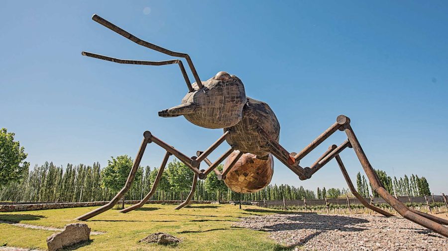 Ant