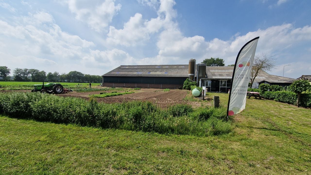 The garden and store of Juul's vegetables in Ledeacker (photo: Tom Berkers).
