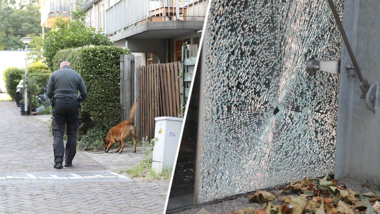 Argument in Bergen op Zoom gets out of hand: shots fired in the street