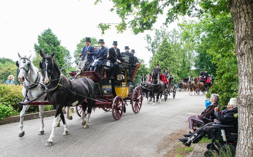 As if time stood still for a moment: the Nienoord500 carriage ride reaps admiration