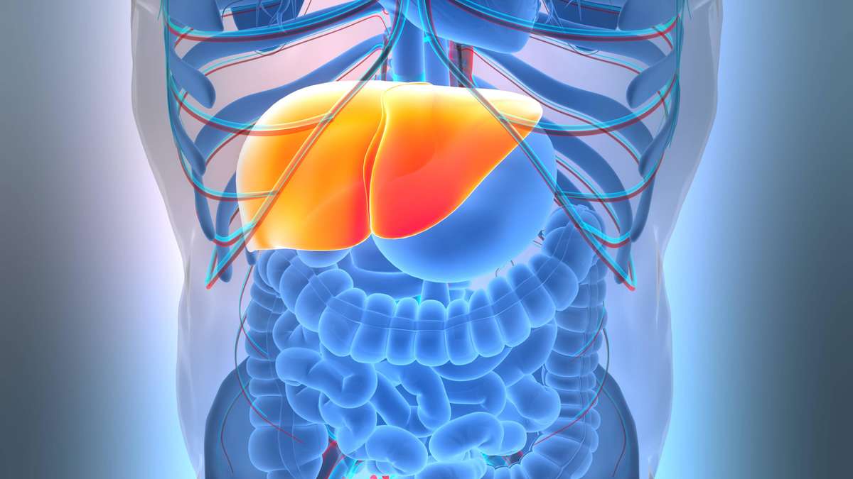 Assess Your Liver Health: 5 Key Questions for Self-Evaluation