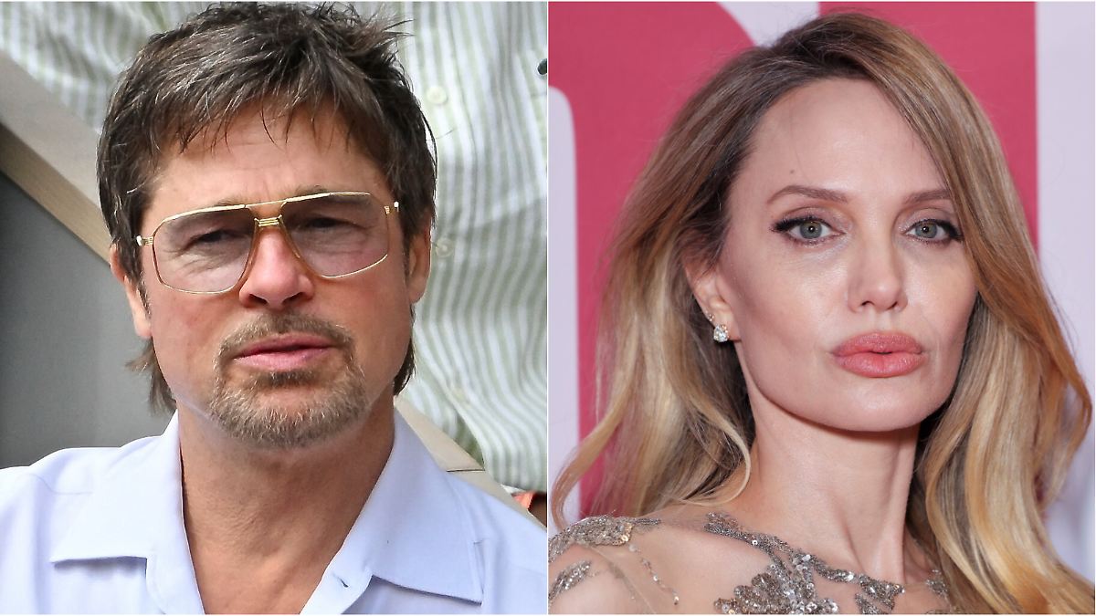 Brad Pitt Scores Legal Victory Over Angelina Jolie in Winery Dispute