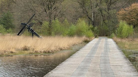 Bridges, decking and viewpoints in Drenthe are getting a makeover