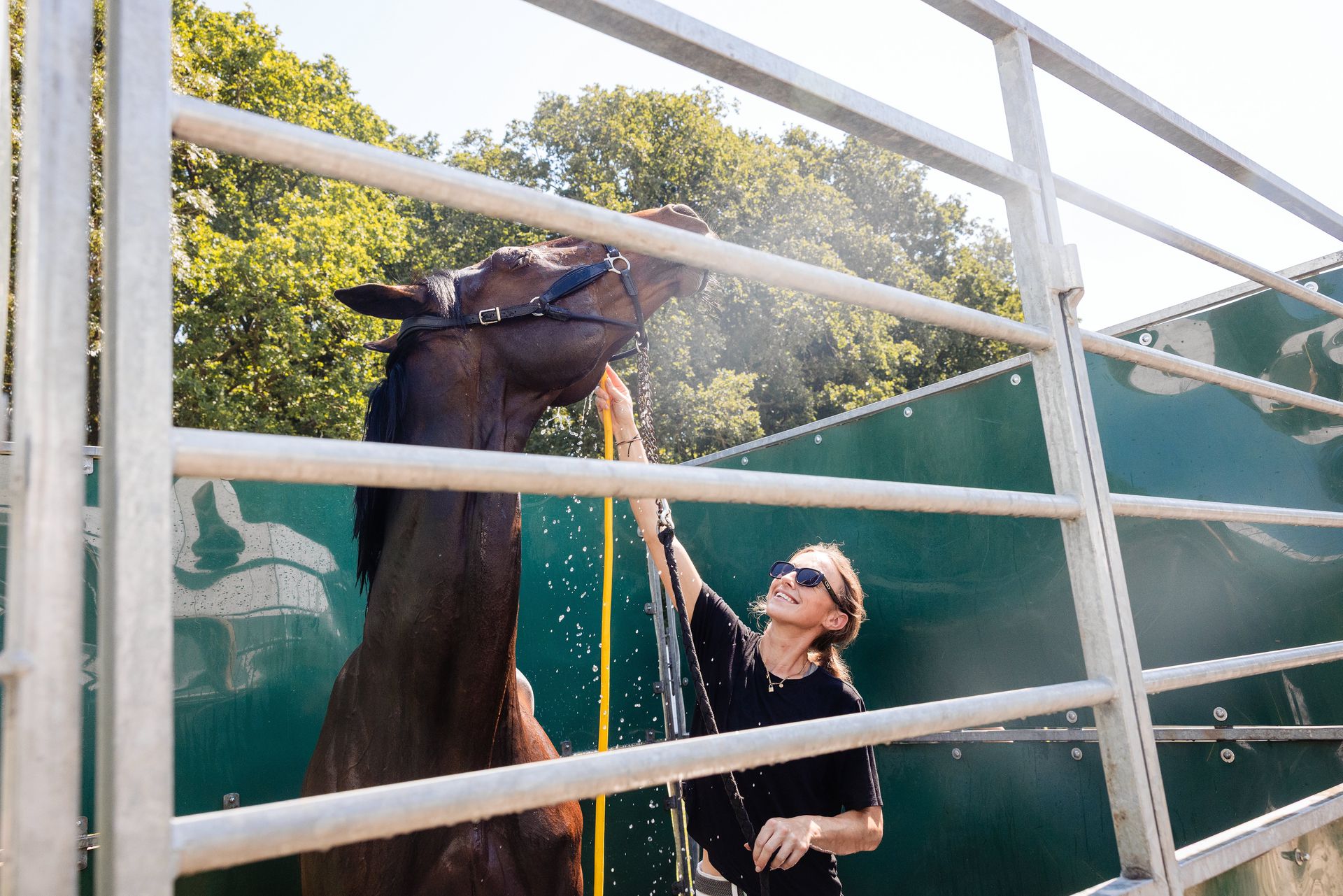 CHIO horses pampered during heat: ‘If you see this treatment, everyone would like to be a horse’