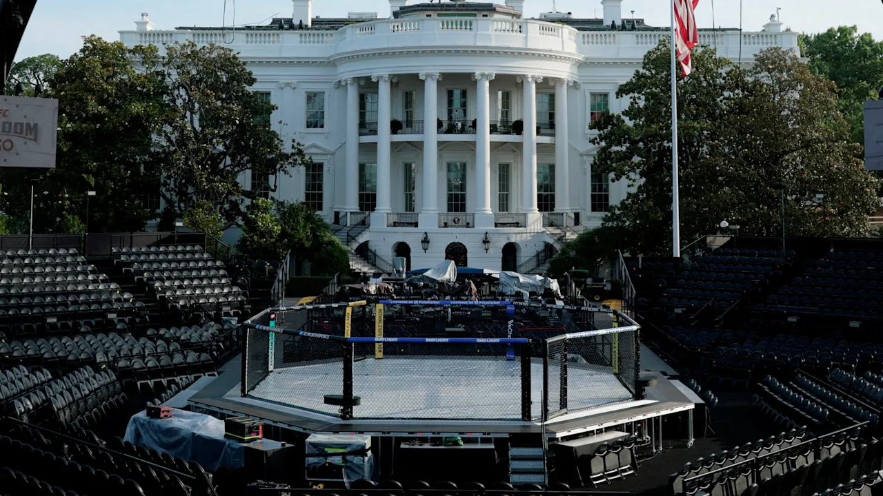 Cage knock instead of politics: White House becomes UFC temple | Sports mix