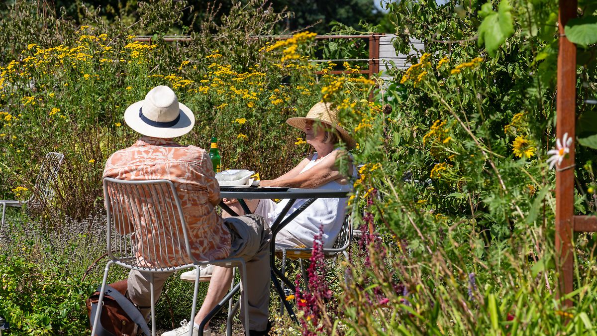 Can Insufficient Daylight Increase Your Dementia Risk? Key Findings Revealed!