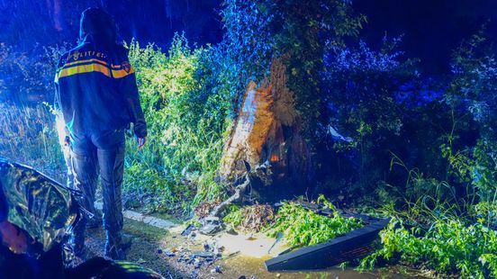 Car crashes into tree near Noordlaren, driver injured