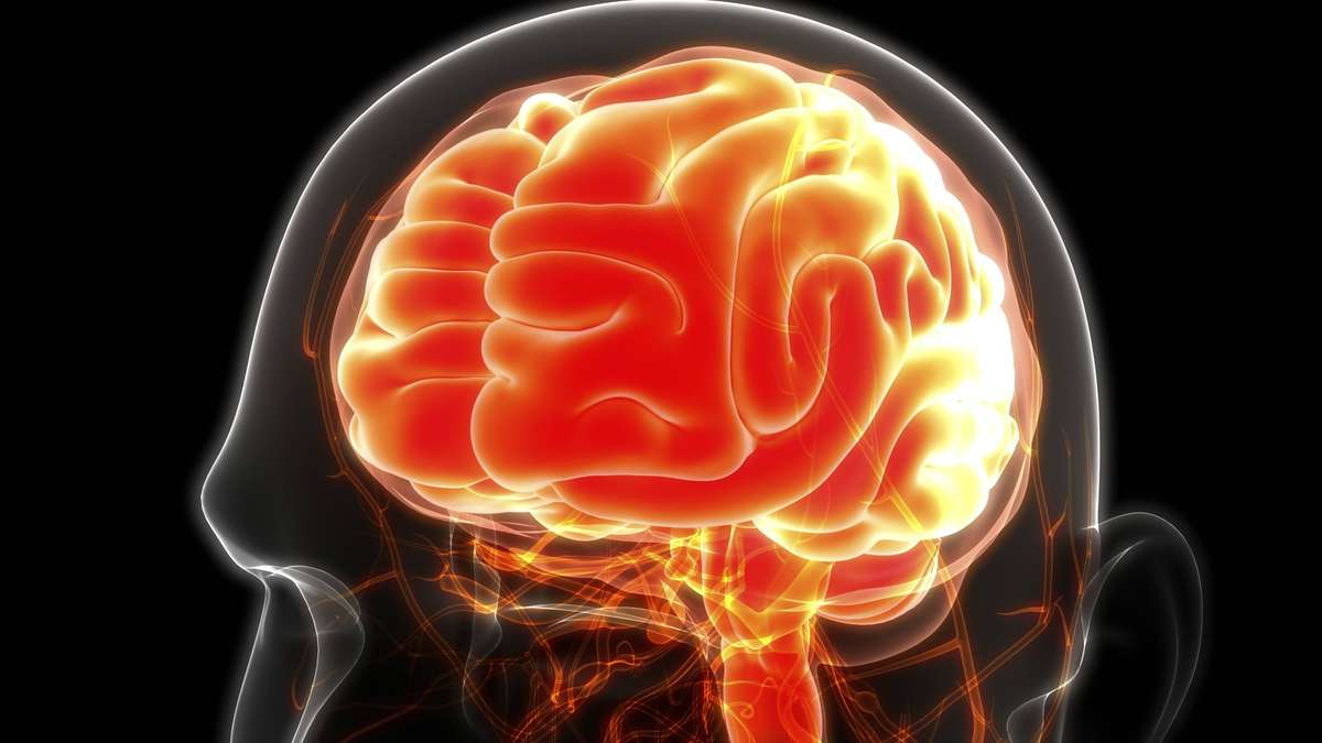 Could a Flu Drug Reversed for Dementia Fight Cognitive Decline?