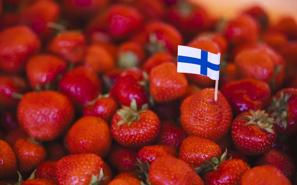 Don’t make these mistakes – Otherwise, your frozen berries will be loose and tasteless