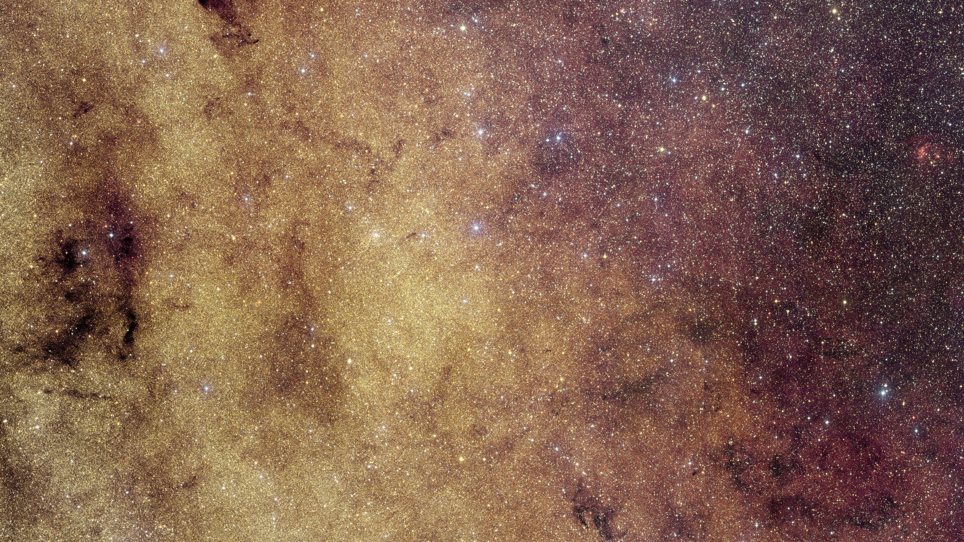 ESA’s Euclid Captures Stunning Image of the Milky Way’s Galactic Center