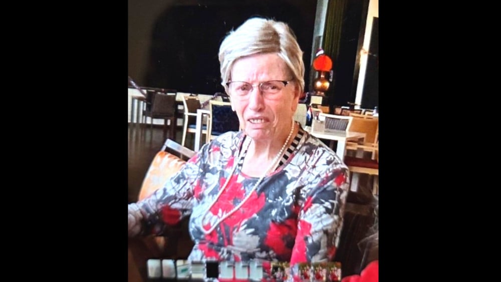 Egmondse Trees (87) missing, police call on people to also look in gardens and sheds