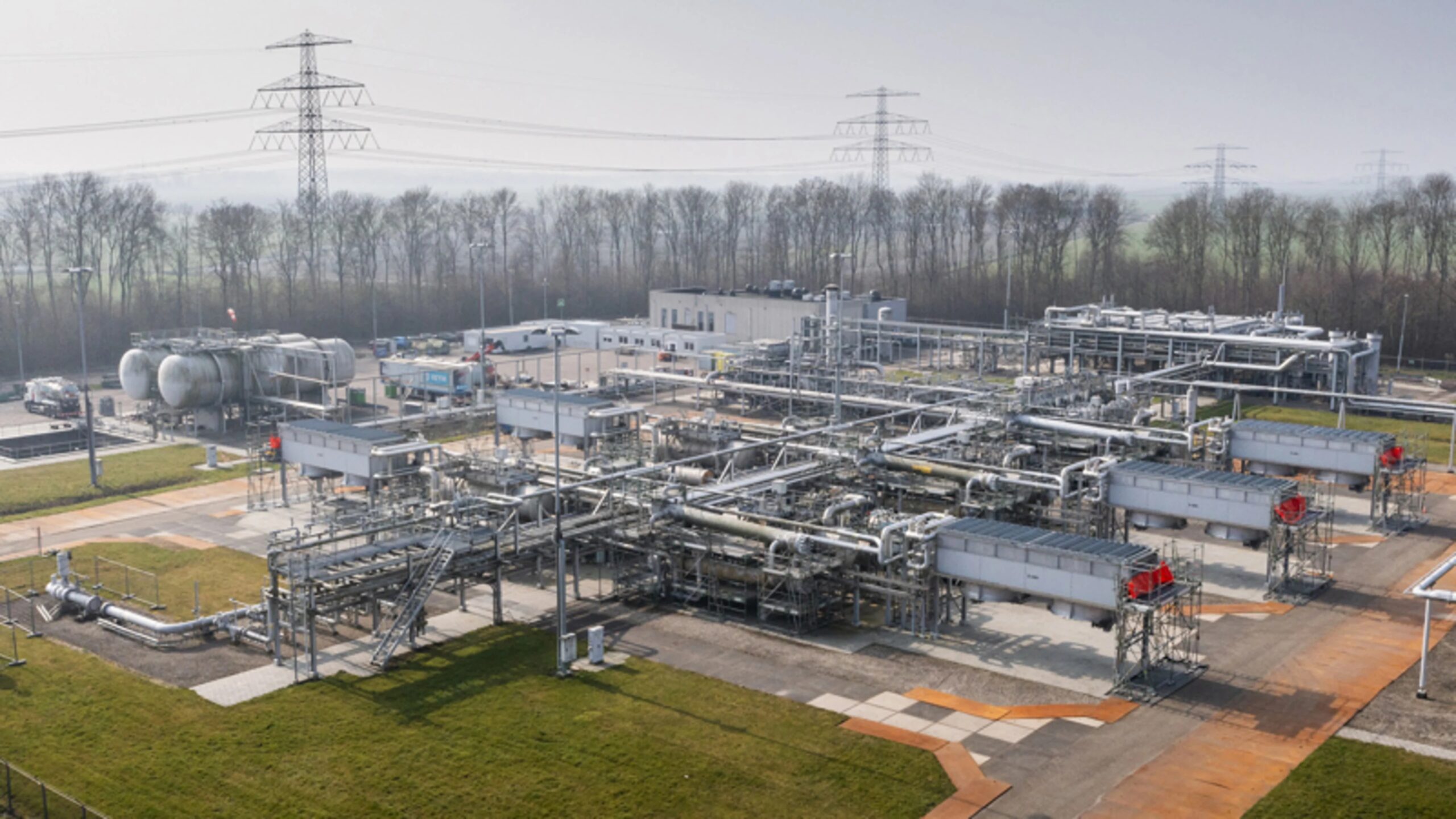 Energy expert: ‘This is very cowardly of politicians!’