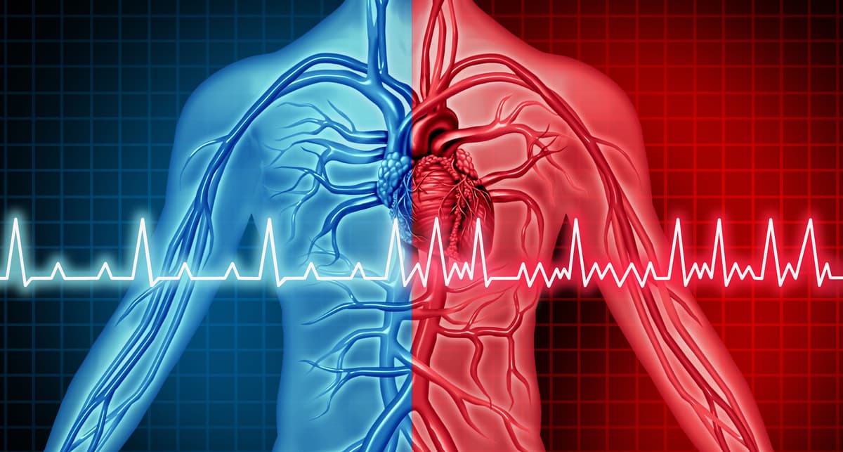 Fit Young Men Experience Fewer Heart Issues Later in Life – Study Reveals