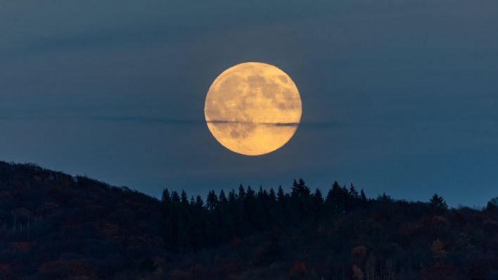 Forum – 50 Years After Apollo: Moon Mission Insights and Future Steps