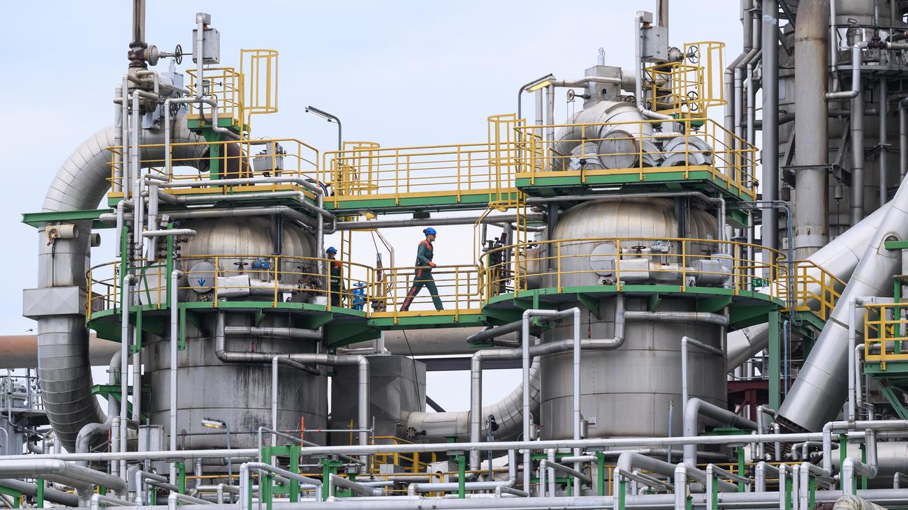 German Companies’ Optimism Grows: Insights from the ifo Institute Report