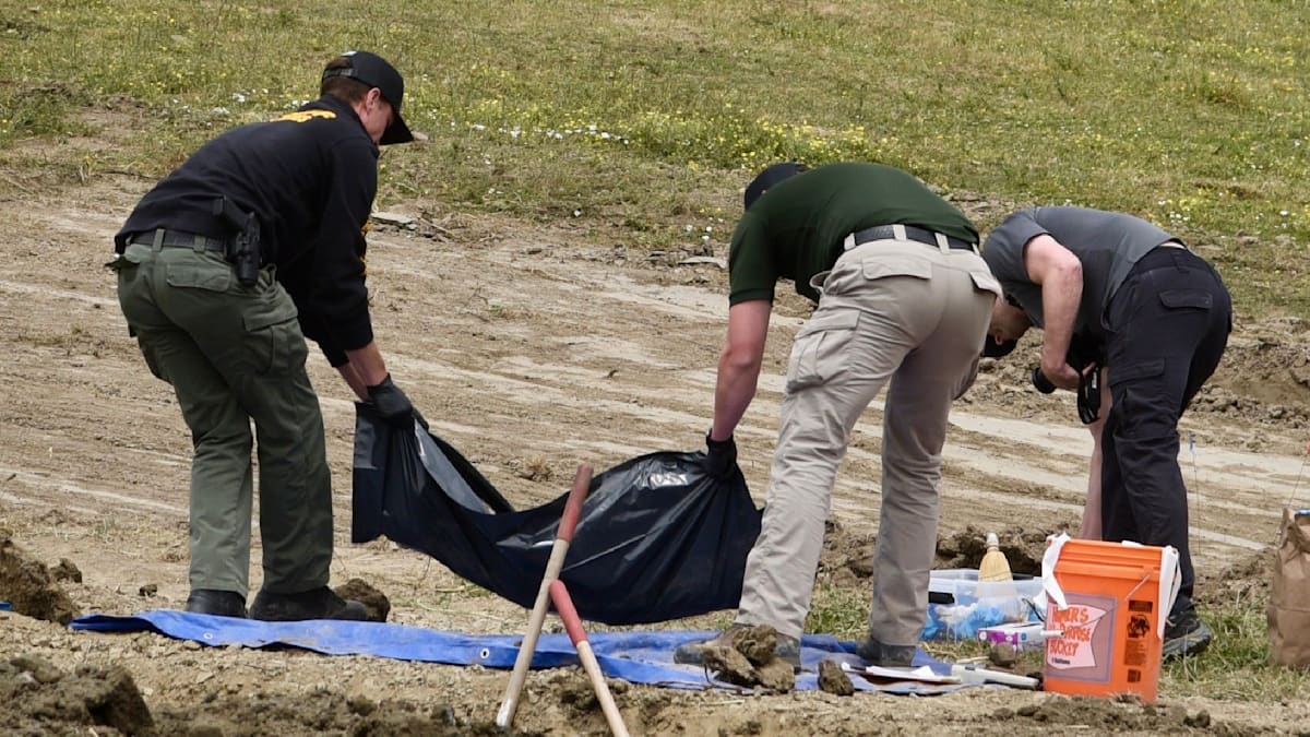 Grim Discovery: 117 Dog Remains Found in California Shelter Horror