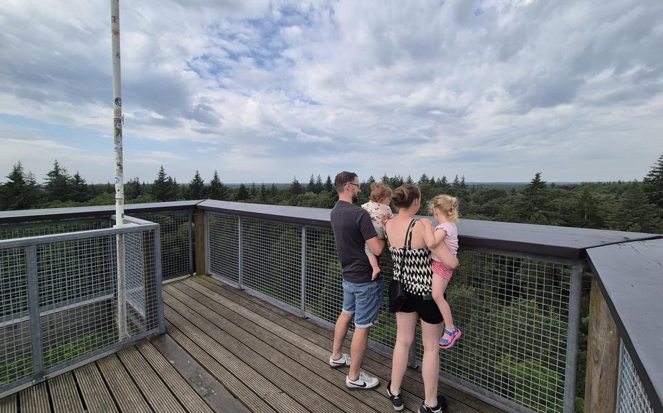 Half a million for boardwalks and lookout towers in nature reserves: ‘If people cannot enjoy nature, they will love it less’