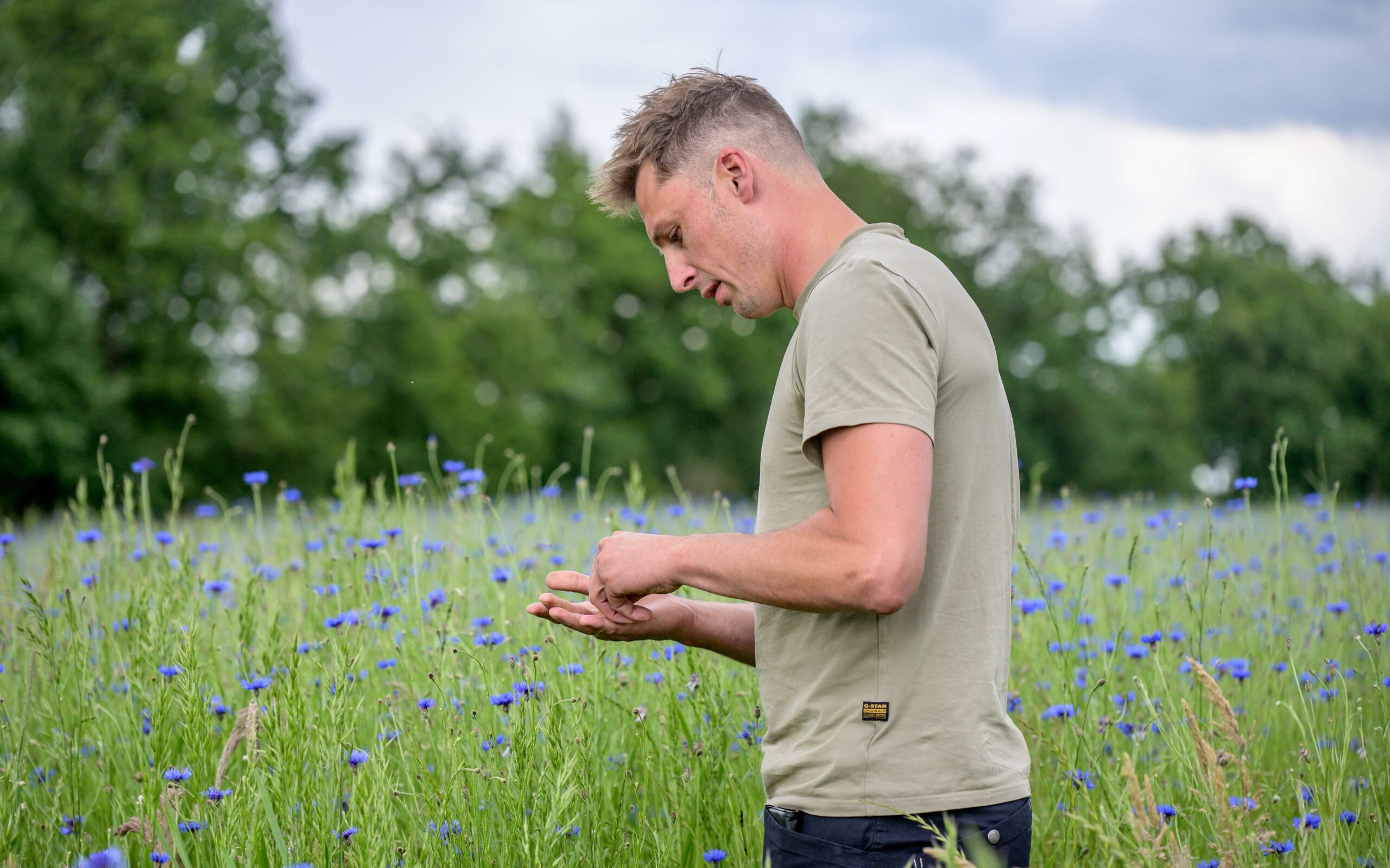 Herb grass, beetle banks and woodbreaks: read here how Groningen farmers are committed to nature