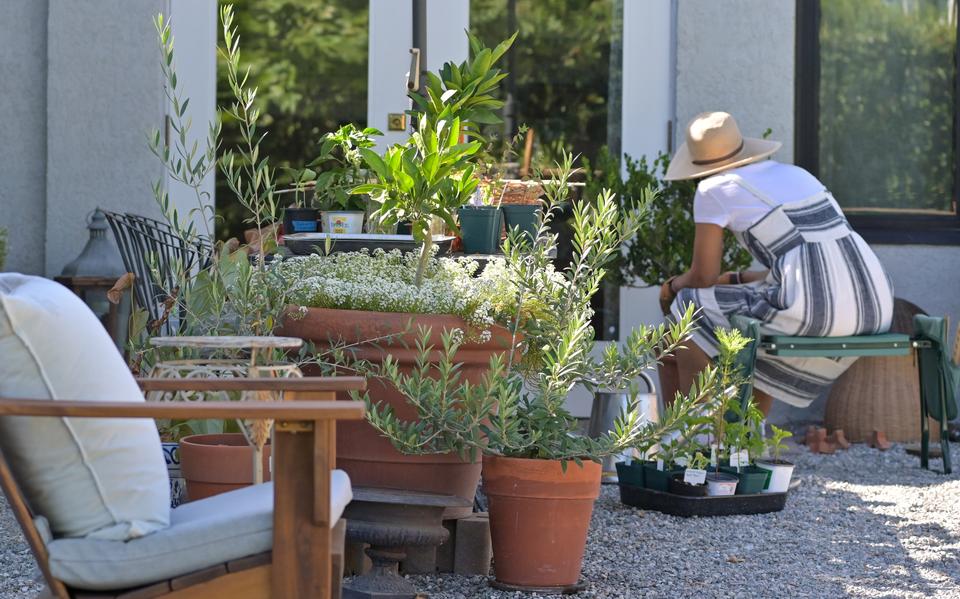 Holiday tip from gardener Martin: get started in your own Tuinesia, or take a peek at the neighbors