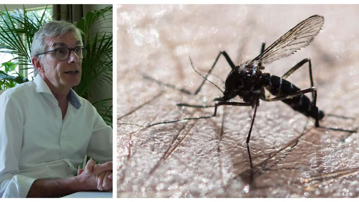 How Dangerous Are New Epidemics for Rosenheim? Insights from Health Experts