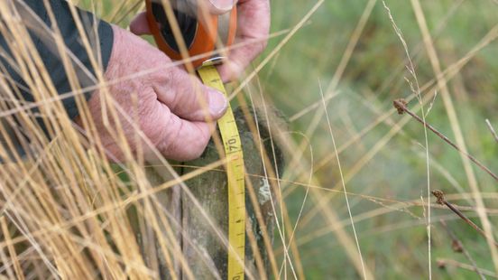 How do we know if the Dwingelderveld is drying out?