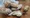 How to Keep Bread Fresh: Avoid This Common Storage Mistake!