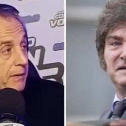 Insidious Tenembaum: “Milei does not go against Adorni because he is afraid”