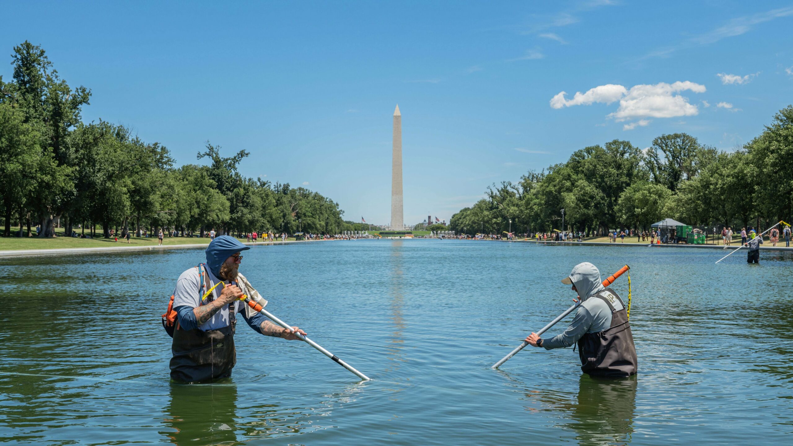 Key Tips for a Perfect Reflecting Pool: Avoid Costly Mistakes!