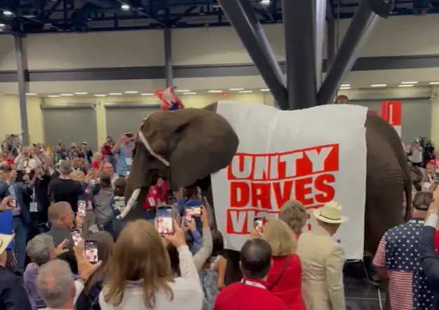 LOOK. Texan Republicans bring live elephant to congress (and it didn’t go smoothly) | News