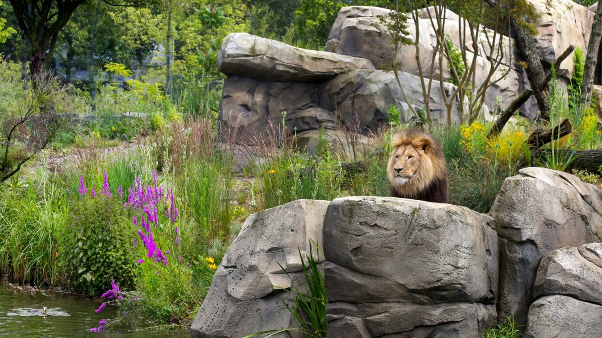 New role of zoos: from knowledge promotion to ‘essential scientific work to protect nature’