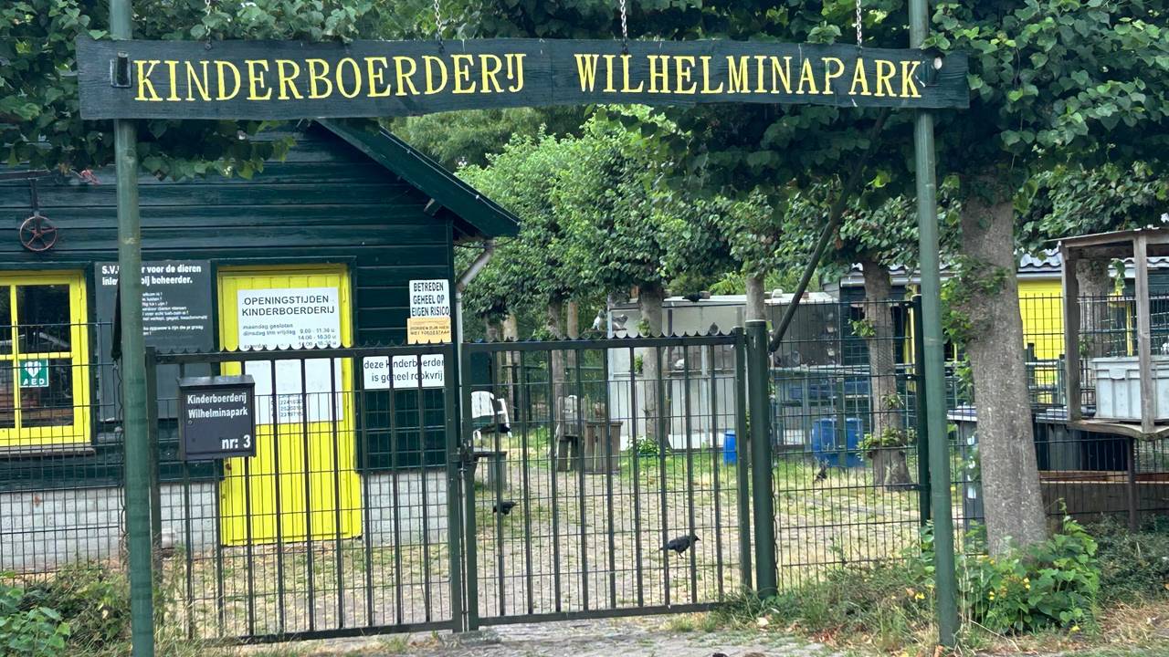 Report against children’s farm in Best and councilor after abuses with animals