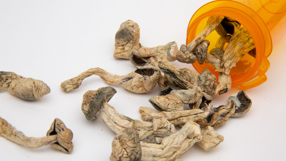 Reversing Alzheimer’s: An 80-Year-Old’s Transformation with Magic Mushrooms