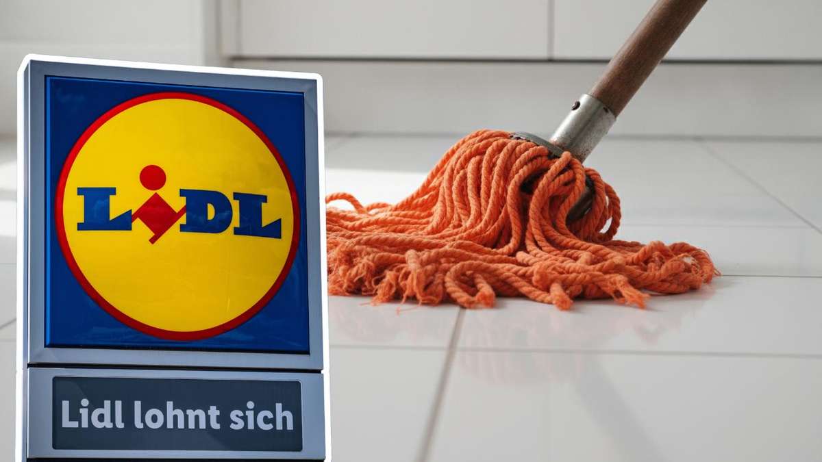 Save 48%: Lidl Launches Robot for Effortless Cleaning at Home!