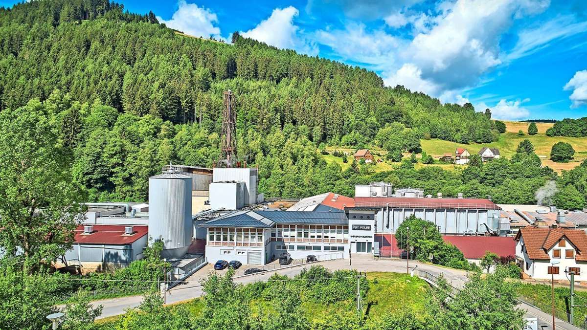 Shock in Baiersbronn: Major Employer Files for Bankruptcy – What’s Next?