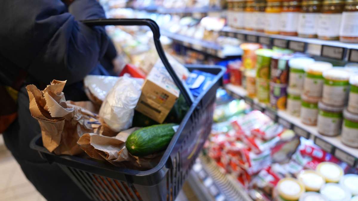 Smart Shopping: Which Food Premiums Are Worth the Extra Cost?