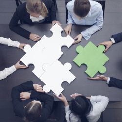 Soft skills are not enough