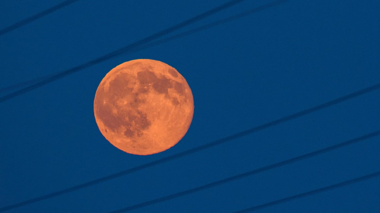 Strawberry Moon: Which 4 Zodiac Signs Feel Its Intense Impact?
