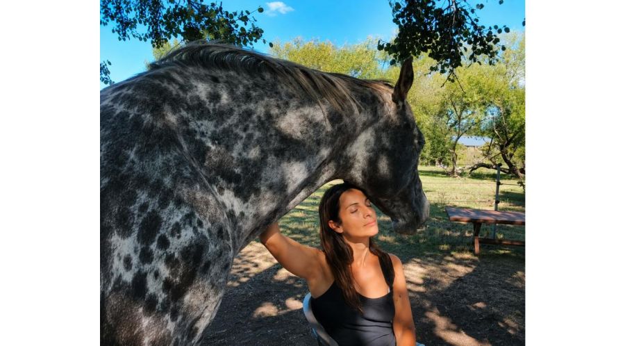 The horse as an immediate emotional mirror