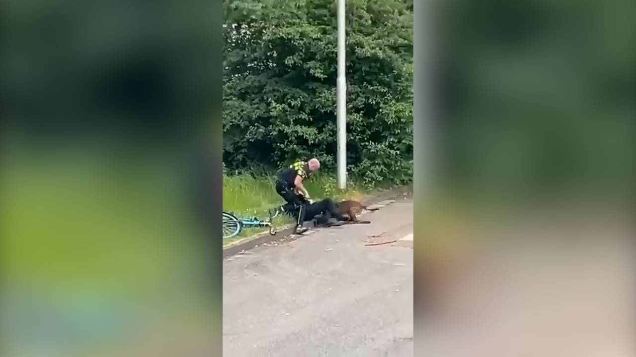 These images show how police dog and officer catch burglar in Tilburg