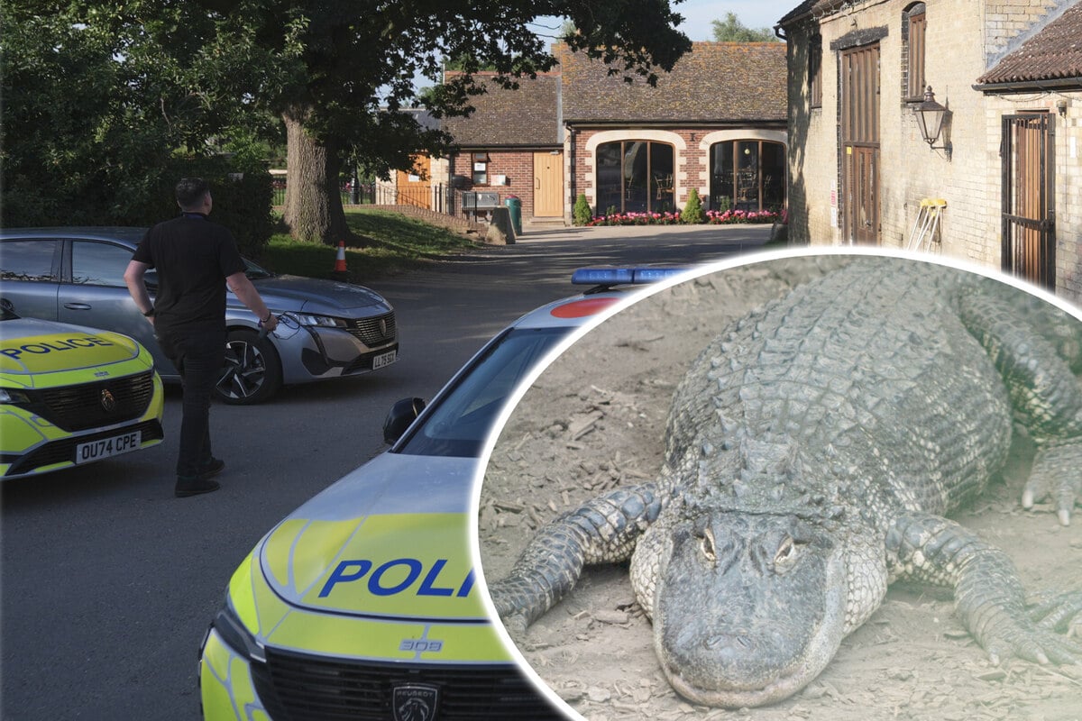 Three-Year-Old Thrown into Crocodile Pit: Did Caregivers Aid the Escape?